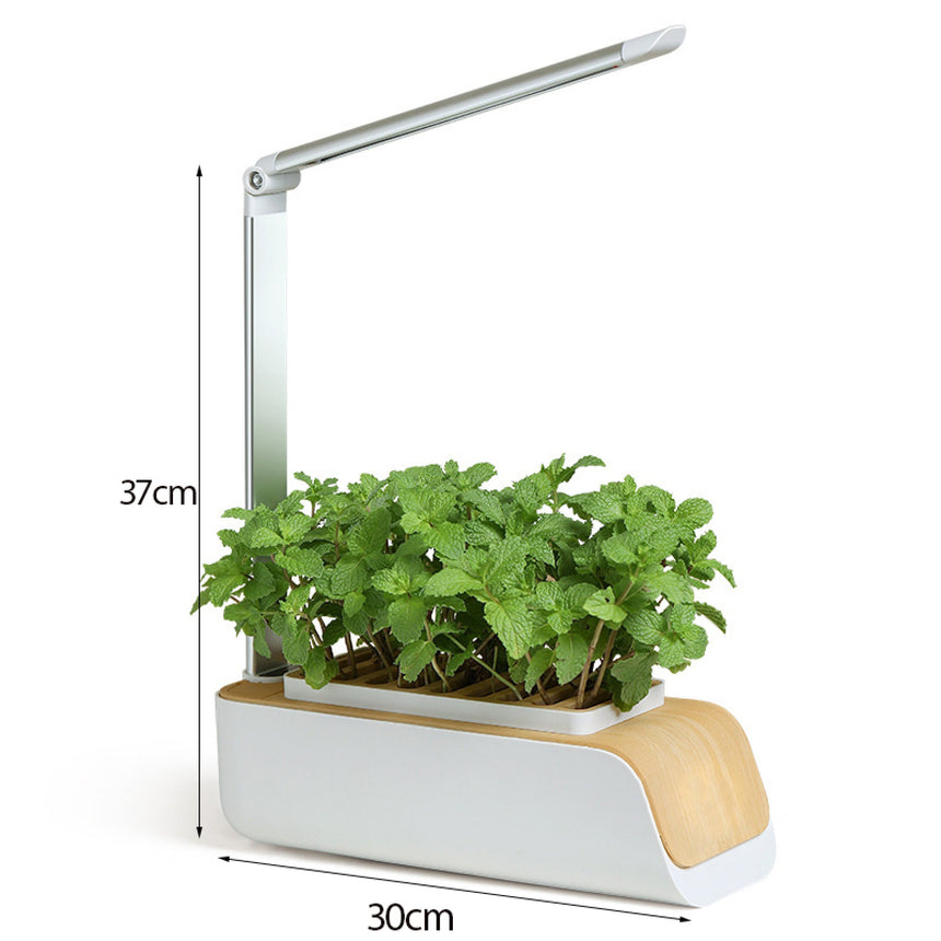 Multiple light modes for the Verdmo smart garden grow anything easily no pods no waste